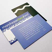 450gsm Silk Business Cards